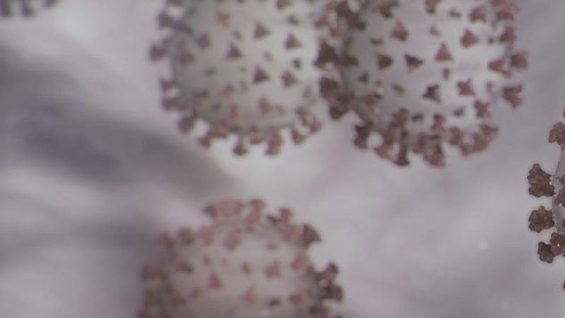 coronavirus